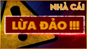Nha Cai Lua Dao